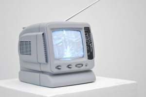 Lewis_Amy_Vanadium_Increments_Of_Doom_2